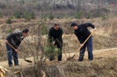 我市开展共建“文明林”植树活动